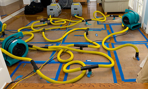 Professional Water Damage Repair technician working in Philadelphia, MS